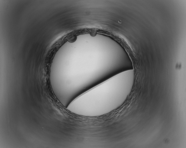 X0000101711064200807101403