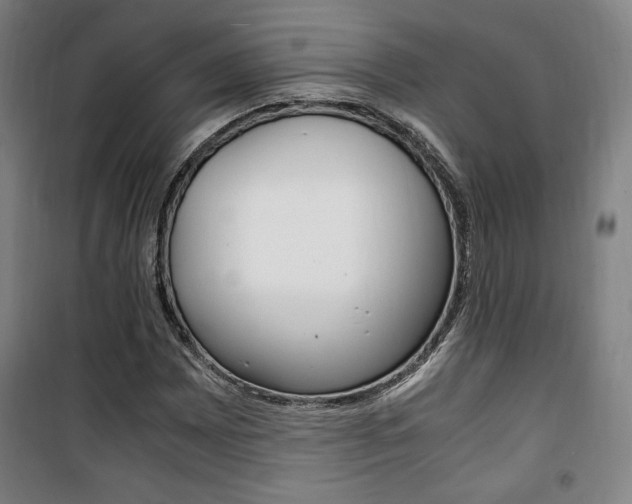 X0000101711065200807101403
