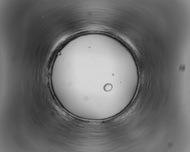 X0000101711067200807101403