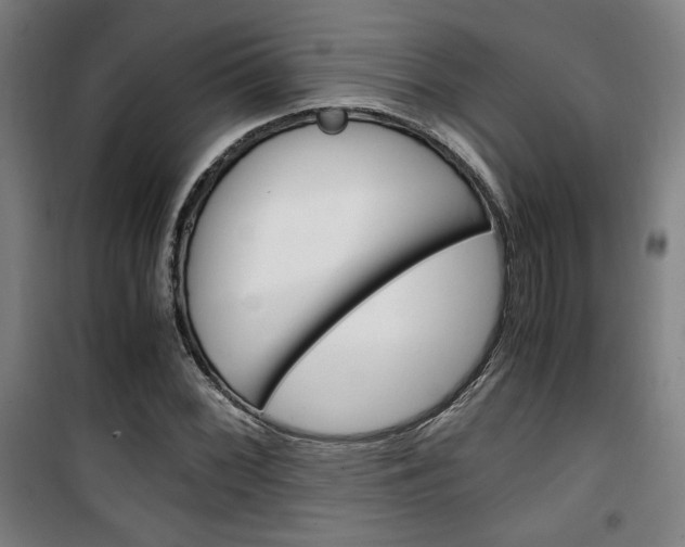 X0000101711068200807101403