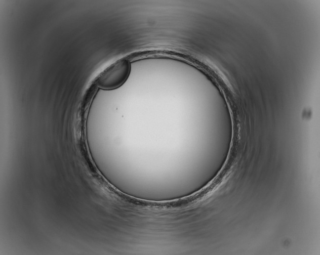 X0000101711069200807101403