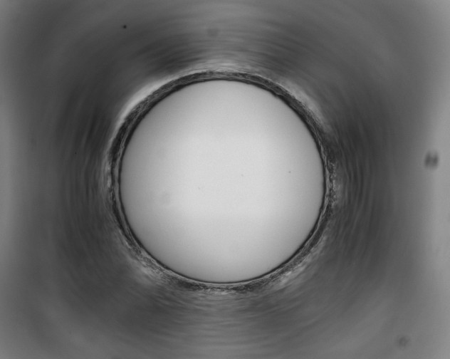 X0000101711070200807101403