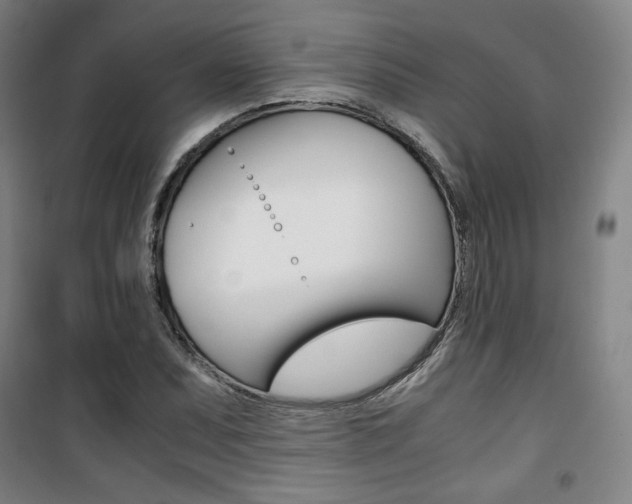 X0000101711071200807101403