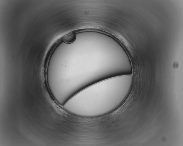 X0000101711072200807101403