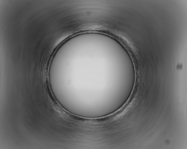X0000101711073200807101403