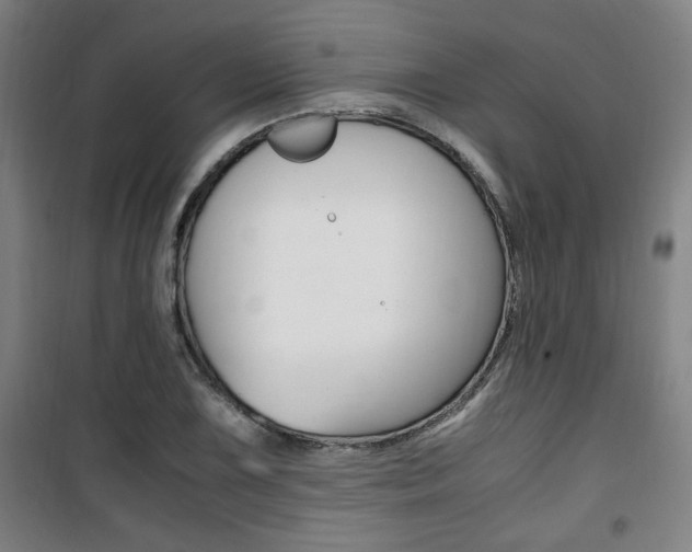 X0000101711075200807101403