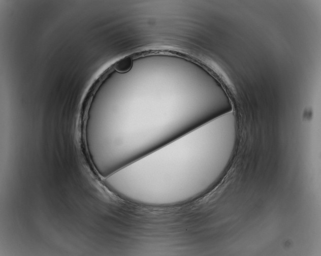 X0000101711076200807101403