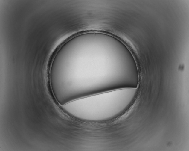 X0000101711077200807101403
