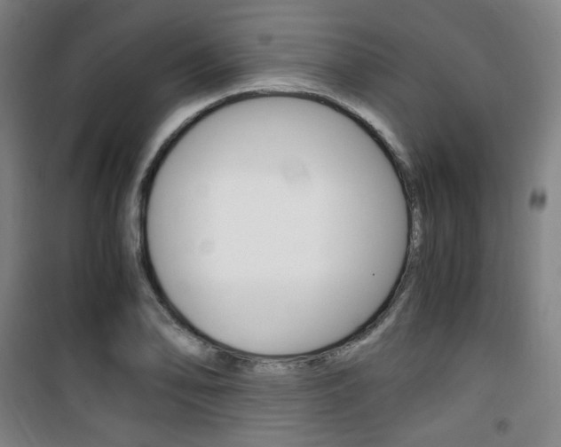 X0000101711078200807101403