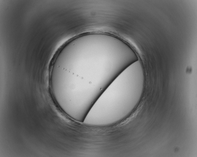 X0000101711079200807101403