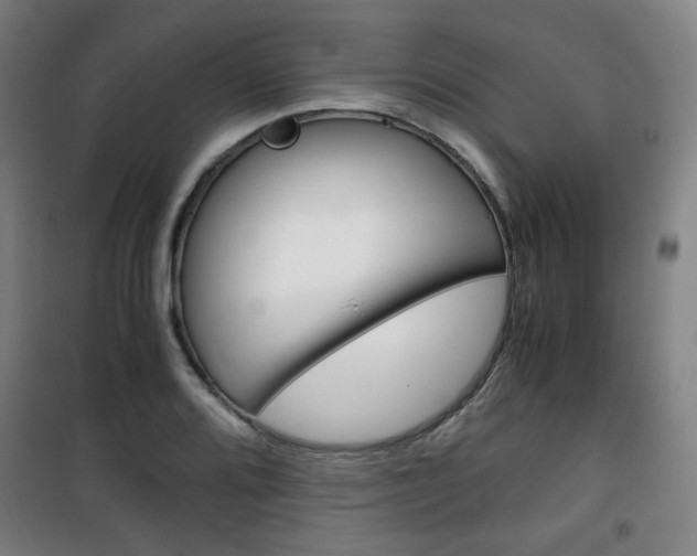 X0000101711080200807101403