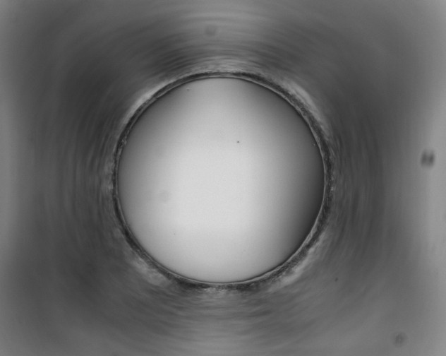 X0000101711081200807101403