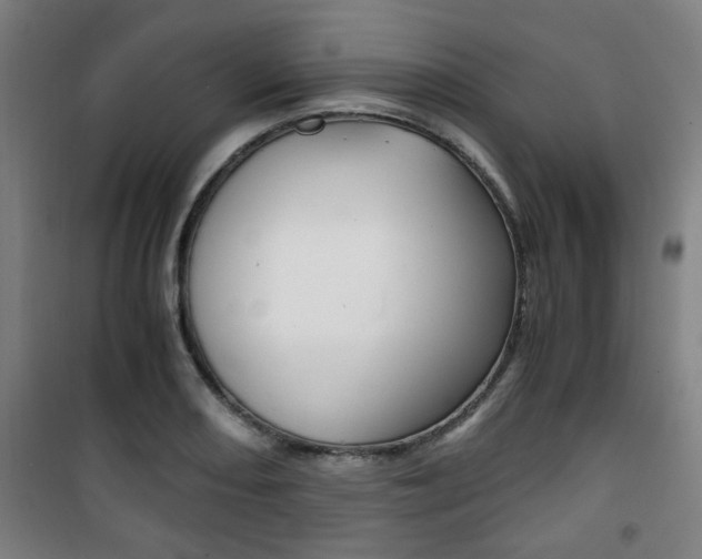 X0000101711082200807101403