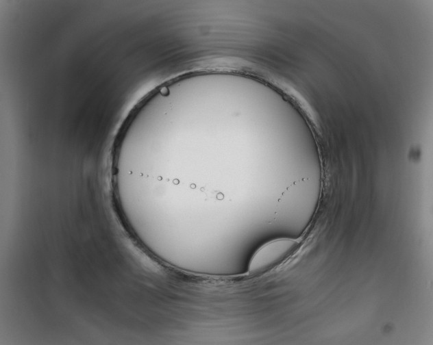 X0000101711083200807101403