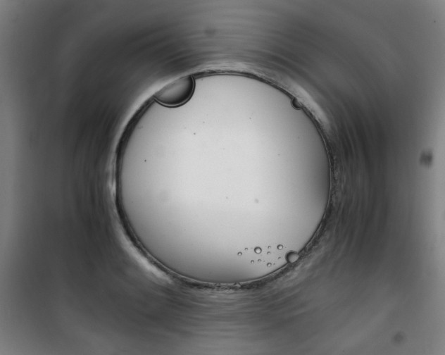 X0000101711084200807101403