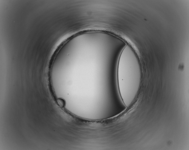 X0000101711085200807101403