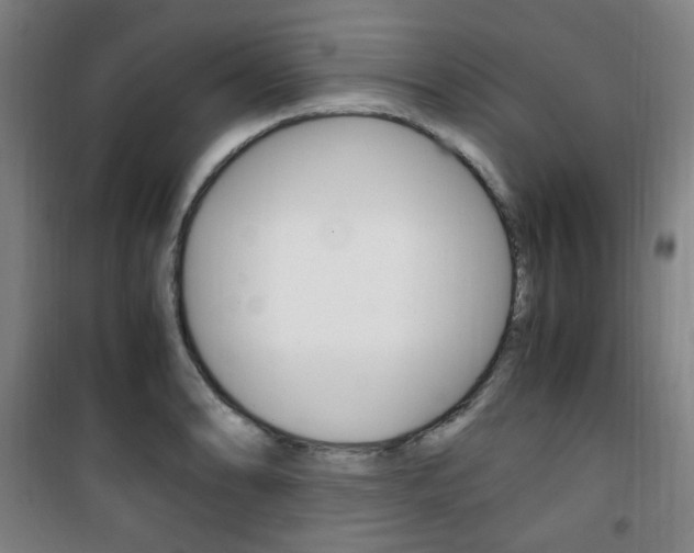 X0000101711086200807101403