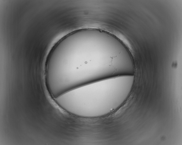 X0000101711088200807101403