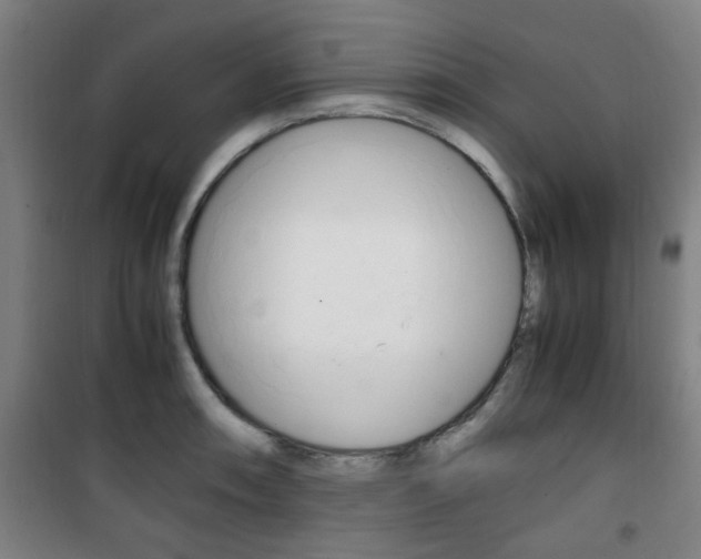 X0000101711090200807101403