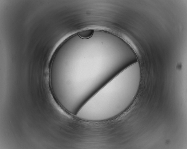 X0000101711092200807101403