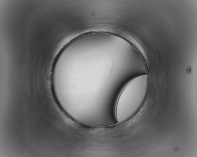 X0000101711093200807101403