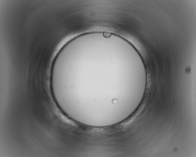 X0000101711094200807101403