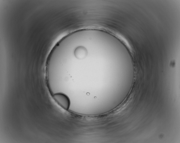 X0000101711095200807101403