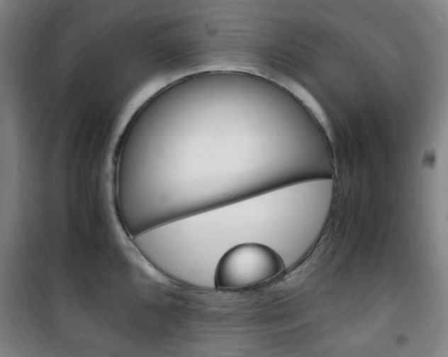 X0000101711096200807101403