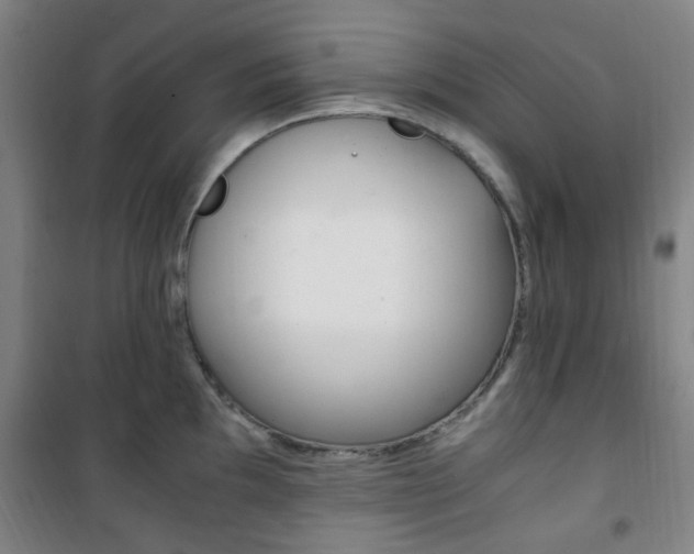 X0000101711097200807101403