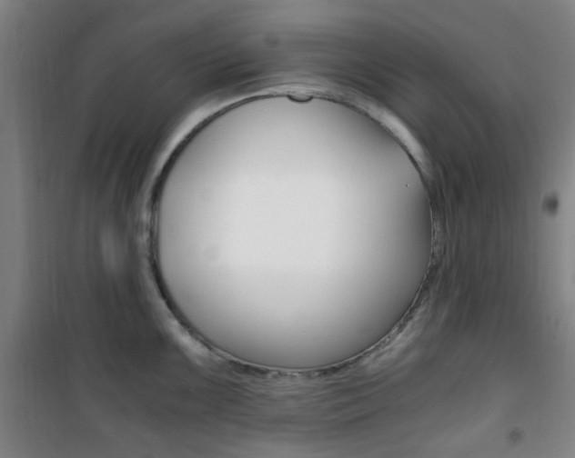 X0000101711099200807101403