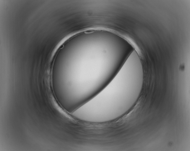 X0000101711100200807101403