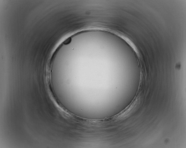 X0000101711101200807101403