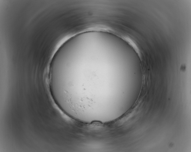 X0000101711103200807101403