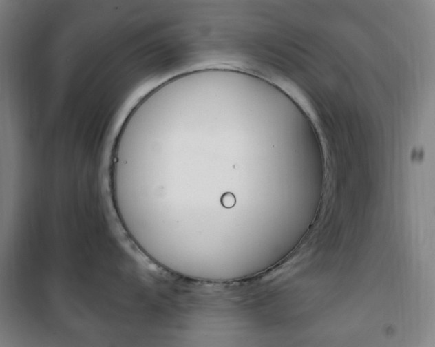 X0000101711104200807101403