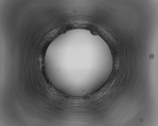 X0000101711108200807101402