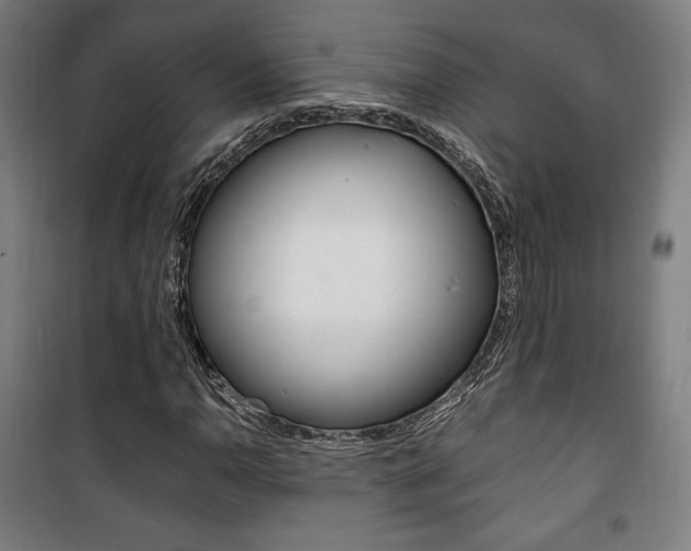 X0000101711110200807101402