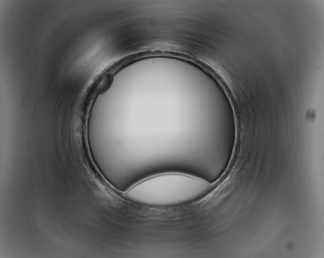 X0000101711115200807101402