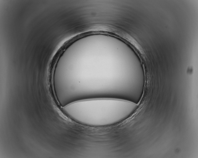 X0000101711116200807101402
