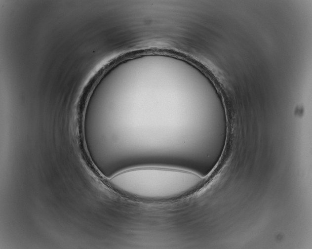 X0000101711118200807101402