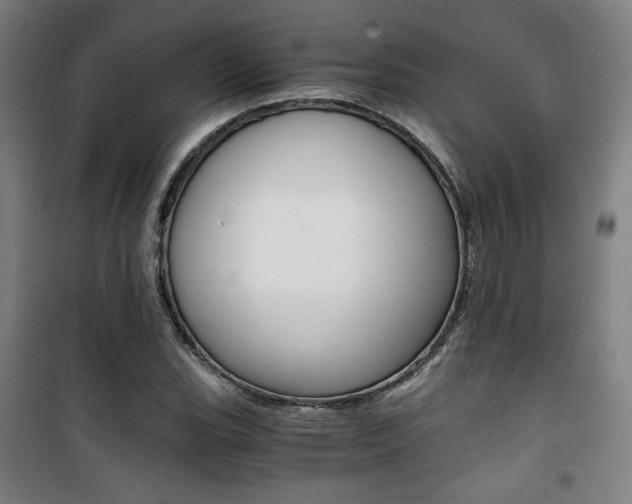 X0000101711119200807101402