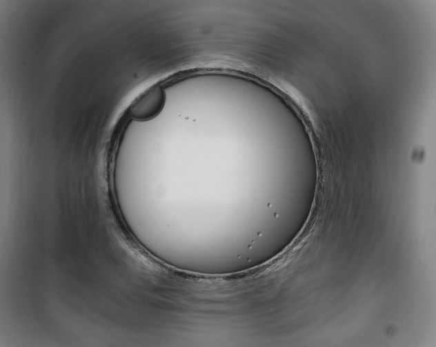 X0000101711120200807101402