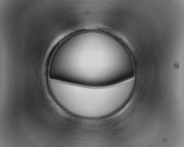 X0000101711122200807101402