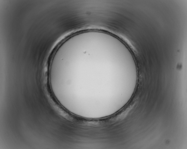 X0000101711126200807101402