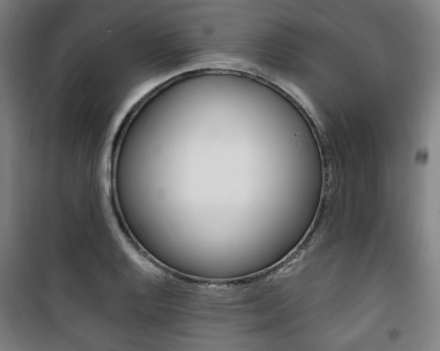 X0000101711128200807101402