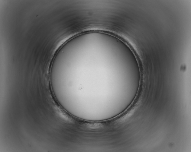 X0000101711129200807101402