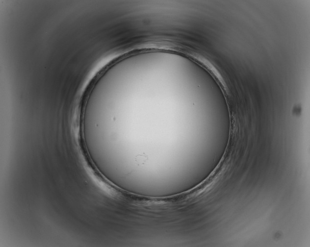 X0000101711131200807101402
