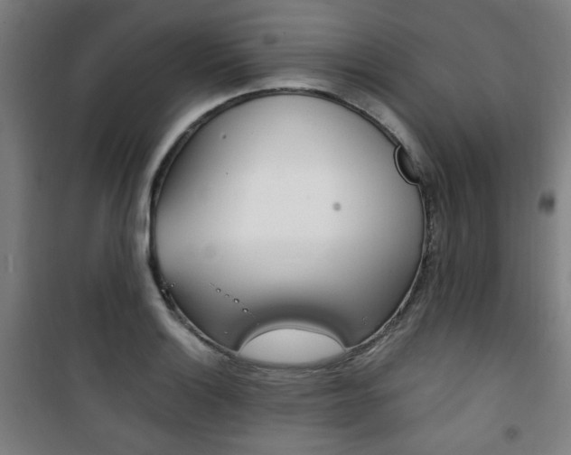 X0000101711132200807101402