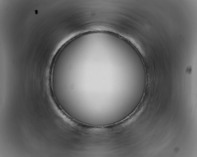 X0000101711134200807101402