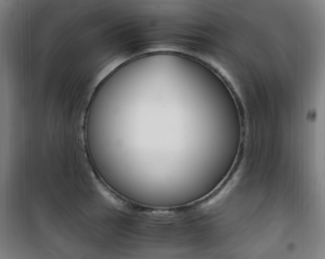 X0000101711137200807101402
