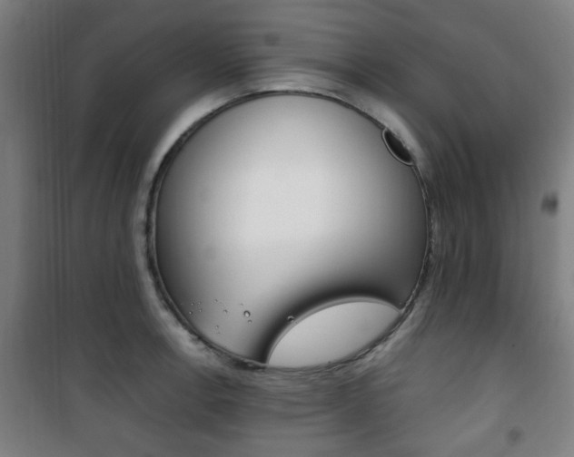 X0000101711138200807101402